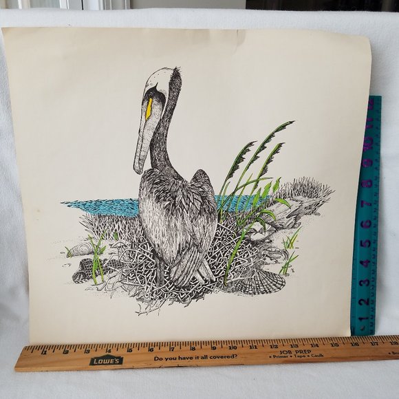 Unfinished Watercolor Mario Hernandez Print - Bird - Picture 5 of 5